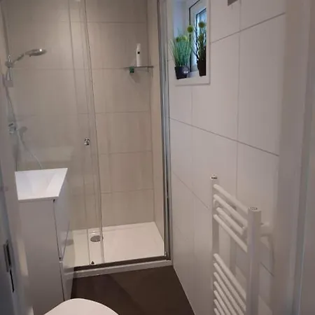 De Woudtplaats 木屋 沃尔夫黑泽