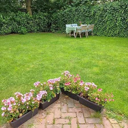 De Woudtplaats Шале Вольфхезе