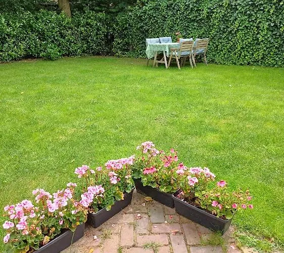 De Woudtplaats Chalet Wolfheze